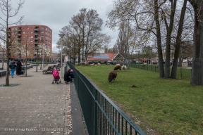 Schalk Burgerplein - kinderboerderij Woelige Stal-2