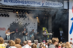 Bevrijdingsfestival_2013_-_Malieveld_-14