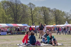 Bevrijdingsfestival_2013_-_Malieveld_-17