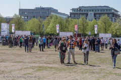 Bevrijdingsfestival_2013_-_Malieveld_-21