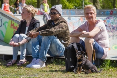 Bevrijdingsfestival_2013_-_Malieveld_-35