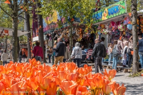 Bevrijdingsfestival 2016 - 01