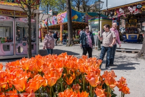 Bevrijdingsfestival 2016 - 03