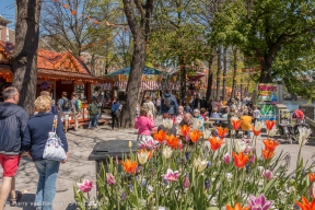 Bevrijdingsfestival 2016 - 05