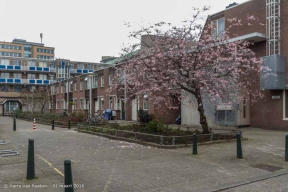 Boerhaavenstraat-07