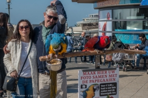 Boulevard - Scheveningen- 30