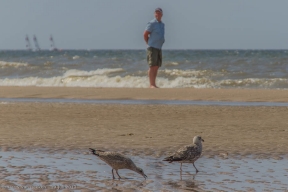 branding Scheveningen-24