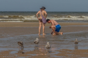 branding Scheveningen-25