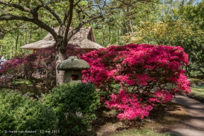 Japanse Tuin-15