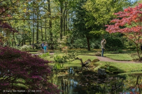 Japanse Tuin-17