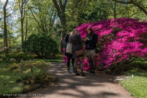 Japanse Tuin-24