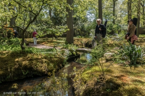 Japanse Tuin-29