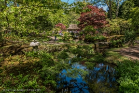 Japanse Tuin-8