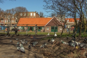 Havenkade - Stadsboerderij 't Waaygat - 1