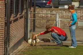 Havenkade - Stadsboerderij 't Waaygat - 4