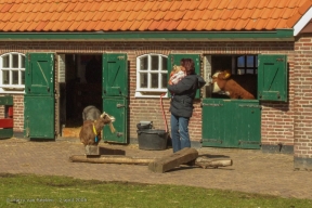 Havenkade - Stadsboerderij 't Waaygat - 5