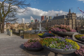 Hofvijver - Binnenhof (1 van 1)