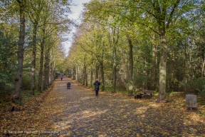 Kapellaan - Van Stolkpark-Schev.Bosjes -2