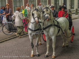 Koetsjes Lange Voorhout-01