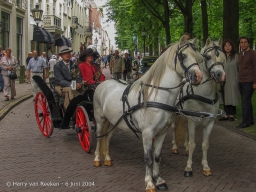 Koetsjes Lange Voorhout-02