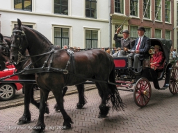 Koetsjes Lange Voorhout-06