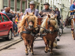 Koetsjes Lange Voorhout-11