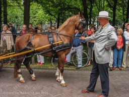 Koetsjes Lange Voorhout-12