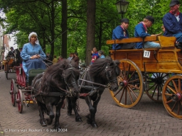 Koetsjes Lange Voorhout-15