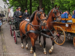 Koetsjes Lange Voorhout-17