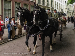 Koetsjes Lange Voorhout-24