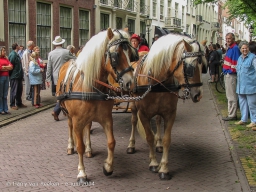 Koetsjes Lange Voorhout-25