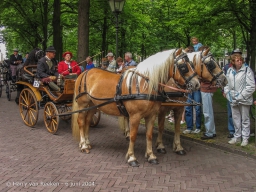 Koetsjes Lange Voorhout-26