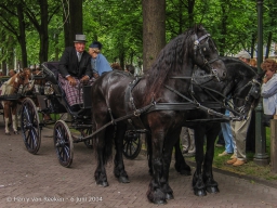 Koetsjes Lange Voorhout-27