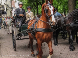 Koetsjes Lange Voorhout-28