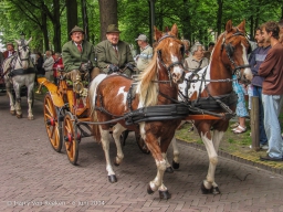 Koetsjes Lange Voorhout-29