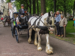 Koetsjes Lange Voorhout-30