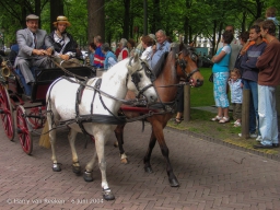 Koetsjes Lange Voorhout-31