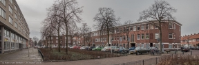 Linnaeusstraat