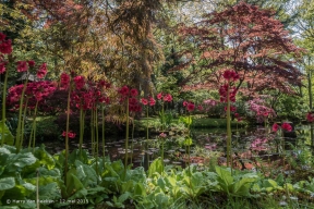 Japanse Tuin-20