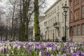 Lange Voorhout-16 maart 2001-3