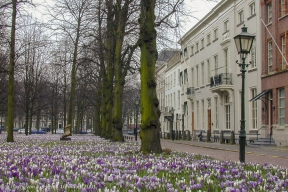 Lange Voorhout-16 maart 2001-4