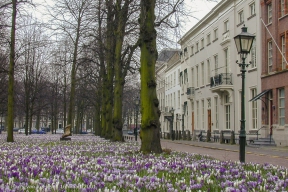 Lange Voorhout-16 maart 2001-4