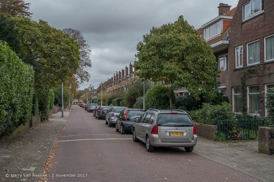 Mildestraat, de - Benoordenhout-1