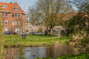 Paets van Troostwijkstraat-010-38