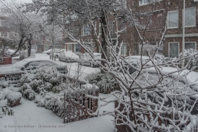 Piet Paaltjensstraat (1 van 1)