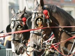 prinsjesdag2005-017