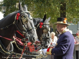 prinsjesdag-2006-08