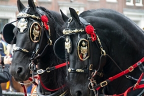 prinsjesdag-2010- 033