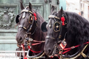 prinsjesdag-2011-25