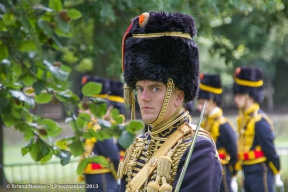 prinsjesdag-2013-eb-39